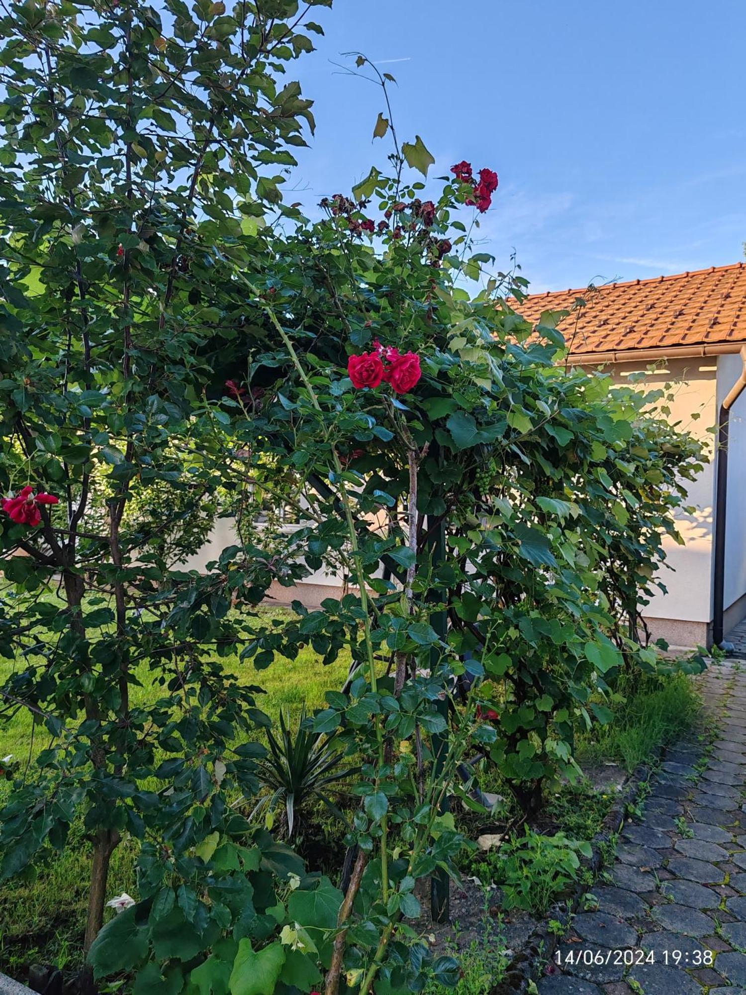 Guesthouse Jelic Teslić Eksteriør billede